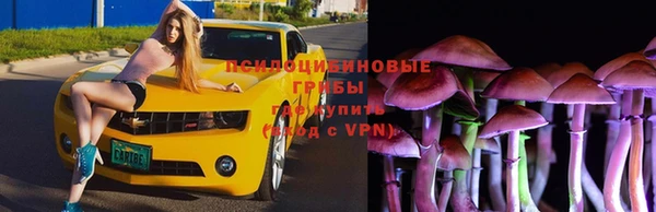 каннабис Алексин