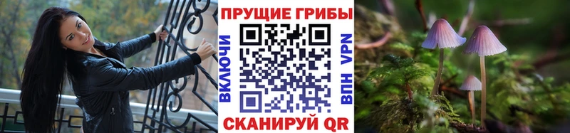 Псилоцибиновые грибы Psilocybe  МЕГА онион  Шелехов 
